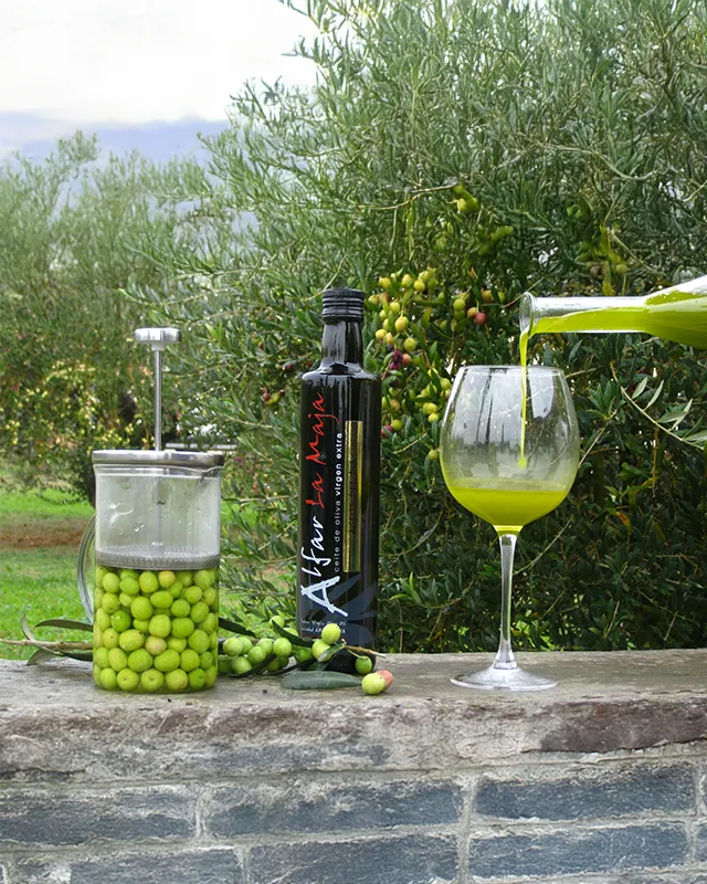 Img Bodegon Aceite la maja Img Bodegon Aceite la maja